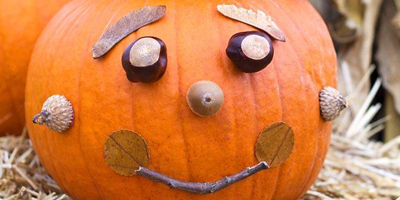 no-carve-pumpkin