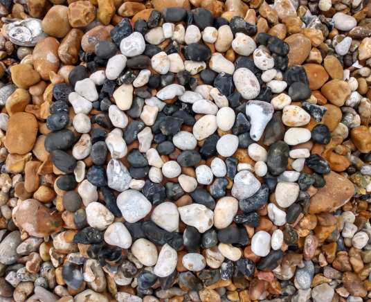Wild Beach – A Coastal Adventure (FREE HAF Spaces Available)