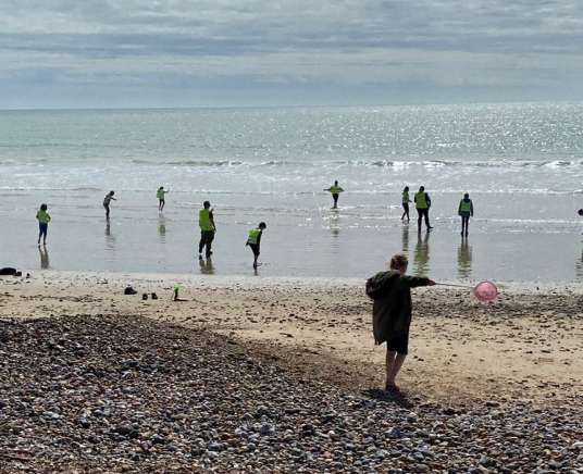 Wild Beach – A Coastal Adventure (FREE HAF Spaces Available)