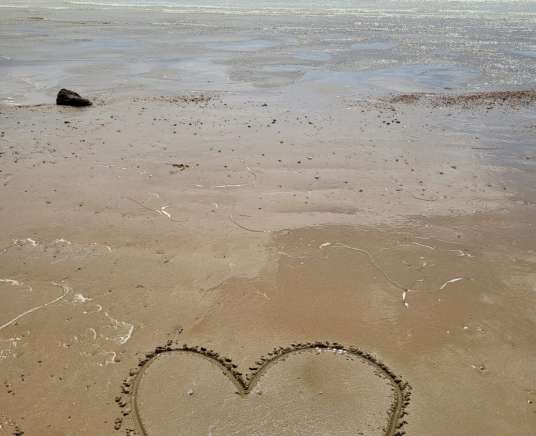 Wild Beach – A Coastal Adventure (FREE HAF Spaces Available)