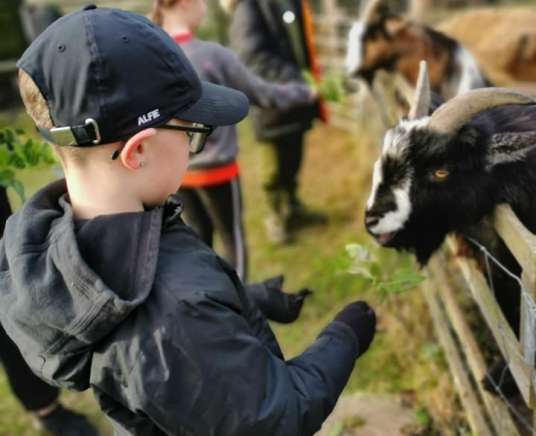 Farm Explorers Summer Club
