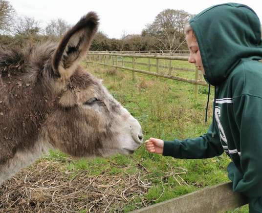 Together On The Farm – SEND Family HAF Session